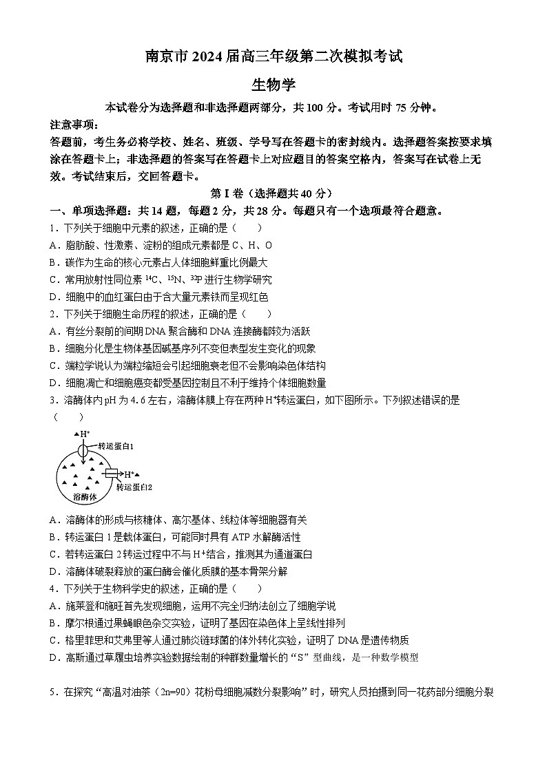 江苏省南京市2024届高三下学期二模生物试题（Word版附答案）01
