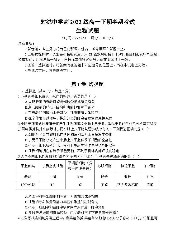 四川省遂宁市射洪中学2023-2024学年高一下学期期中考试生物试题（Word版附答案）01