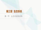 苏教版高中生物选择性必修第二册第3章第1节生态系统的结构课件