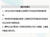 苏教版高中生物选择性必修第二册第3章第2节生态系统的能量流动课件