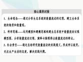 苏教版高中生物选择性必修第二册第3章第2节生态系统的能量流动课件