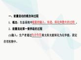 苏教版高中生物选择性必修第二册第3章第2节生态系统的能量流动课件