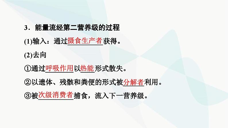 苏教版高中生物选择性必修第二册第3章第2节生态系统的能量流动课件07