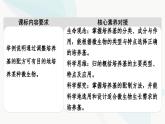苏教版高中生物选择性必修3第1章第1节发酵工程的培养基课件