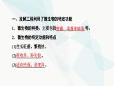 苏教版高中生物选择性必修3第1章第4节发酵工程及其应用课件