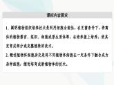 苏教版高中生物选择性必修3第2章第1节植物细胞工程课件