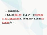 苏教版高中生物选择性必修3第2章第1节植物细胞工程课件
