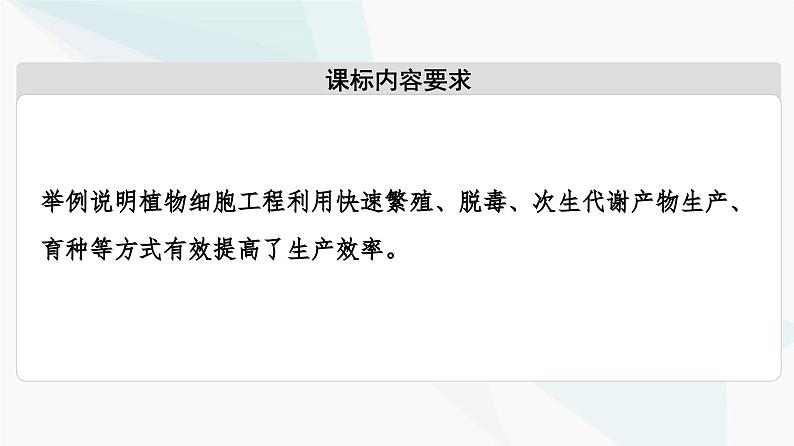 苏教版高中生物选择性必修3第2章第2节植物细胞工程的应用课件02