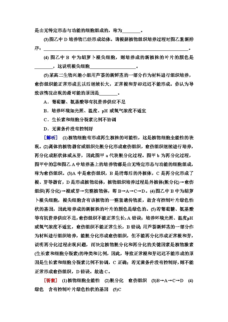 苏教版高中生物选择性必修3课时作业(6)植物细胞工程含答案第3页