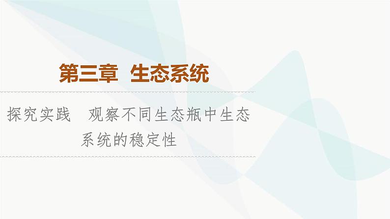 苏教版高中生物选择性必修第二册第3章探究实践观察不同生态瓶中生态系统的稳定性课件第1页