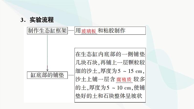 苏教版高中生物选择性必修第二册第3章探究实践观察不同生态瓶中生态系统的稳定性课件第4页