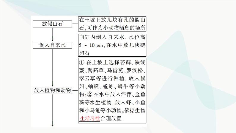 苏教版高中生物选择性必修第二册第3章探究实践观察不同生态瓶中生态系统的稳定性课件第5页