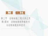 苏教版高中生物选择性必修3第2章第3节第1课时动物细胞核移植技术与动物细胞培养技术课件