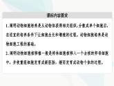 苏教版高中生物选择性必修3第2章第3节第1课时动物细胞核移植技术与动物细胞培养技术课件