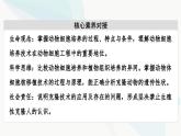 苏教版高中生物选择性必修3第2章第3节第1课时动物细胞核移植技术与动物细胞培养技术课件