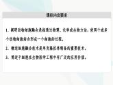 苏教版高中生物选择性必修3第2章第3节第2课时动物细胞融合技术与干细胞技术课件