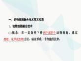 苏教版高中生物选择性必修3第2章第3节第2课时动物细胞融合技术与干细胞技术课件