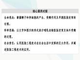 苏教版高中生物选择性必修3第2章第4节第1课时哺乳动物胚胎发育的基本过程和体外受精课件