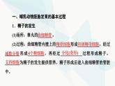 苏教版高中生物选择性必修3第2章第4节第1课时哺乳动物胚胎发育的基本过程和体外受精课件