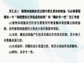 苏教版高中生物选择性必修3第2章素能提升课2细胞工程与其他相关知识的综合课件