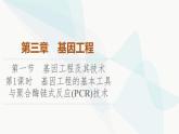 苏教版高中生物选择性必修3第3章第1节第1课时基因工程的基本工具与聚合酶链式反应(PCR)技术课件