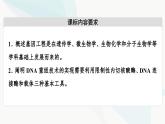 苏教版高中生物选择性必修3第3章第1节第1课时基因工程的基本工具与聚合酶链式反应(PCR)技术课件