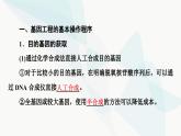 苏教版高中生物选择性必修3第3章第1节第2课时基因工程的基本操作程序课件