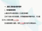 苏教版高中生物选择性必修3第3章第1节第2课时基因工程的基本操作程序课件