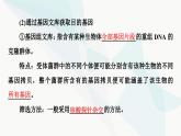 苏教版高中生物选择性必修3第3章第1节第2课时基因工程的基本操作程序课件