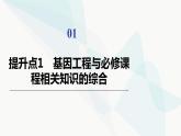 苏教版高中生物选择性必修3第3章素能提升课3基因工程与其他相关知识的综合课件