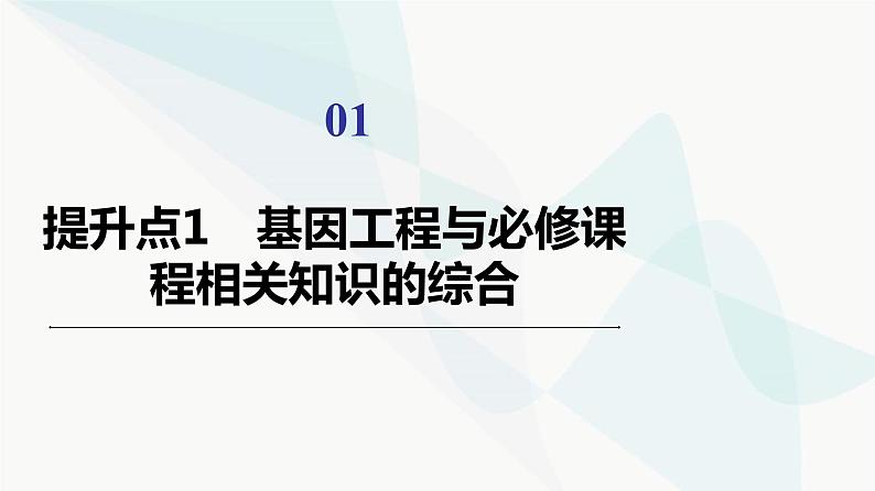 苏教版高中生物选择性必修3第3章素能提升课3基因工程与其他相关知识的综合课件02