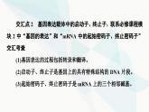 苏教版高中生物选择性必修3第3章素能提升课3基因工程与其他相关知识的综合课件