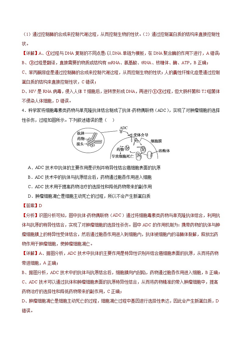 2024年高考生物考前冲刺卷（03）——全国卷新教材适用（解析版）03