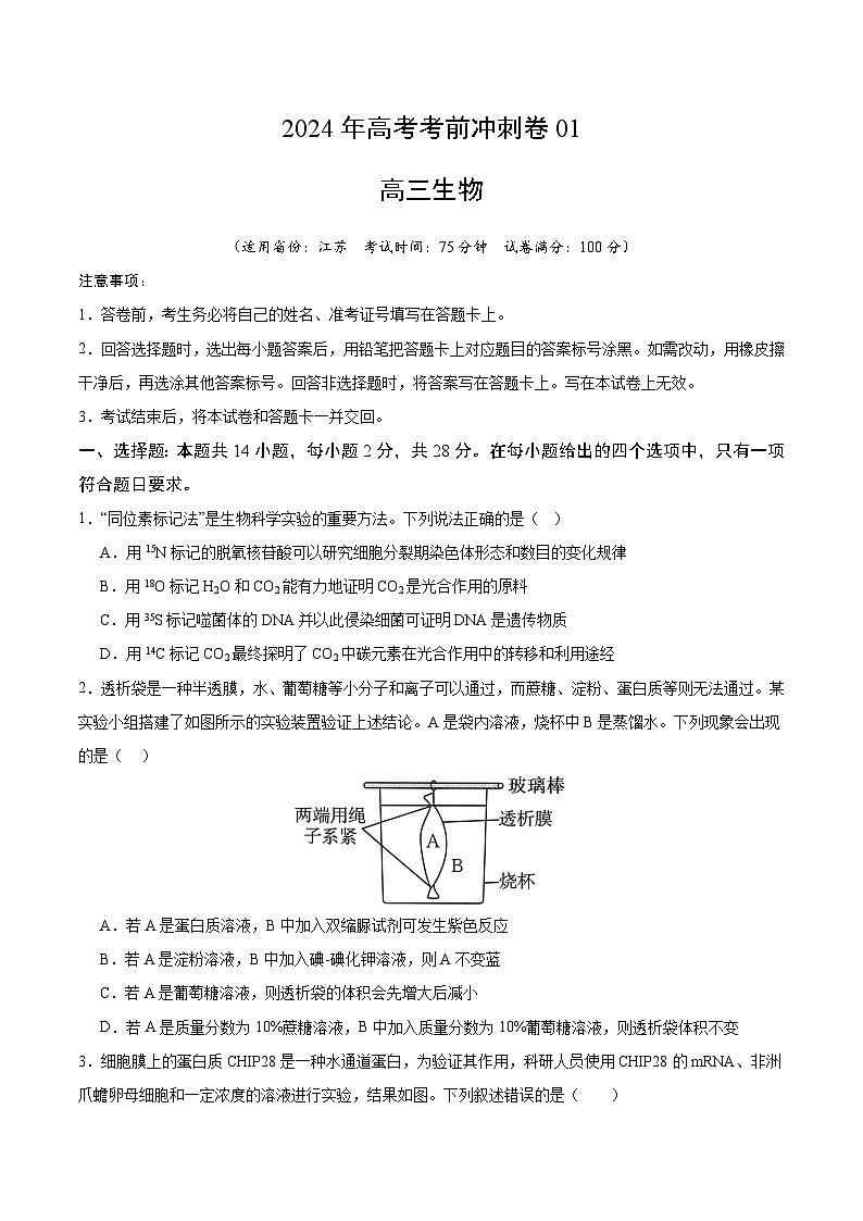 2024年高考生物考前冲刺卷01——江苏适用（原卷版）01