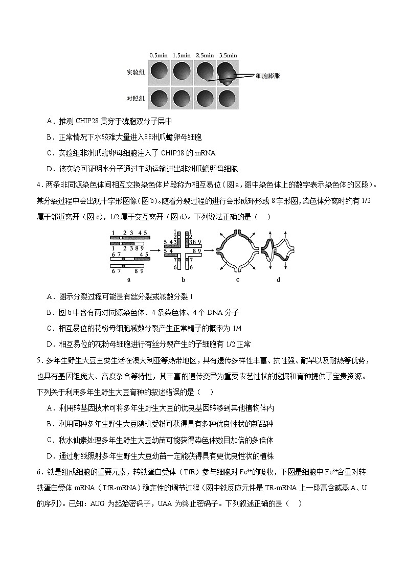 2024年高考生物考前冲刺卷01——江苏适用（原卷版）02