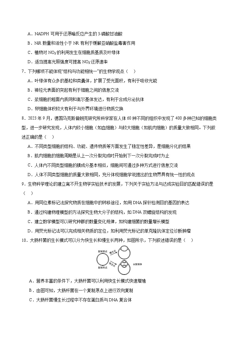 2024年高考生物考前冲刺卷02——山东适用（原卷版）第3页