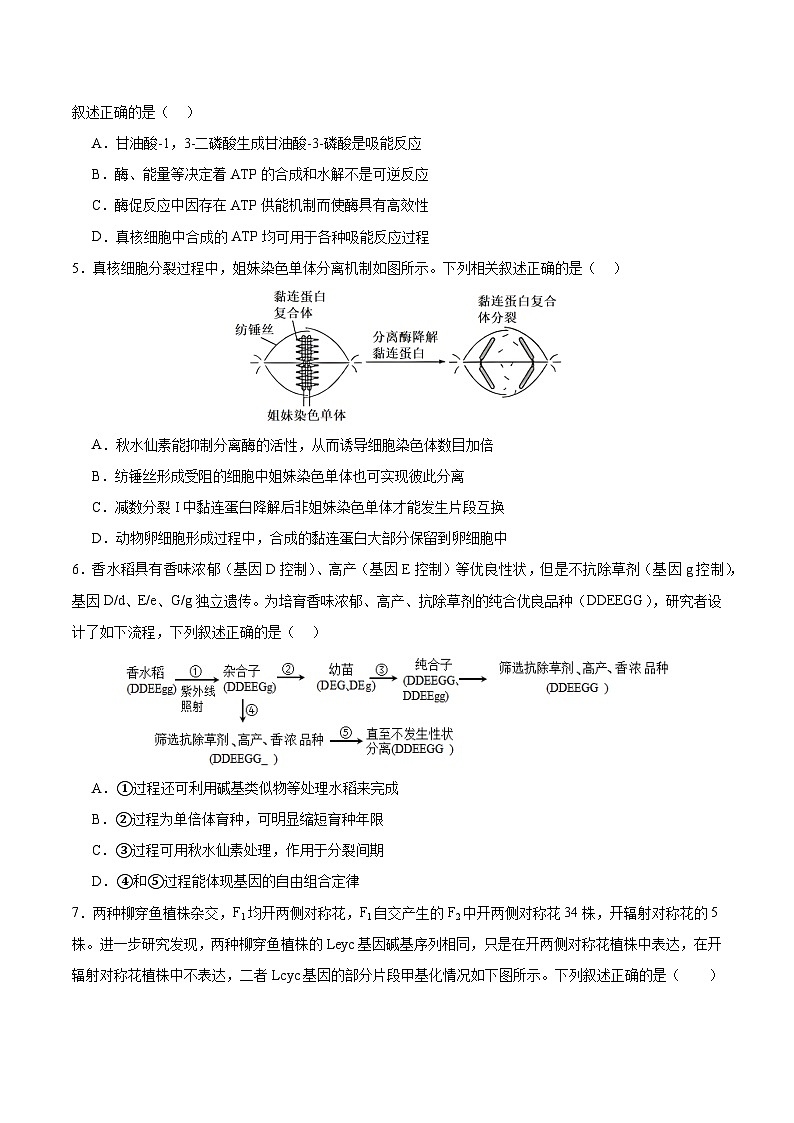 2024年高考生物考前冲刺卷03——黑龙江、吉林、辽宁适用（原卷版）第2页