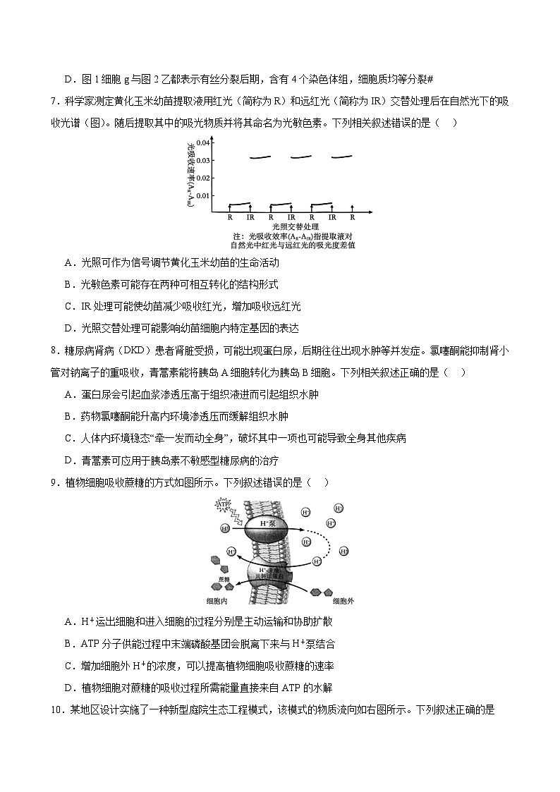 2024年高考生物考前冲刺卷03——江苏适用（原卷版）03