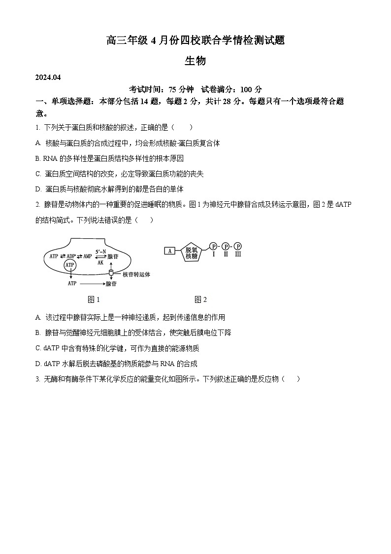 2024届江苏省扬州市仪征市高三四校联考生物试卷（原卷版）第1页
