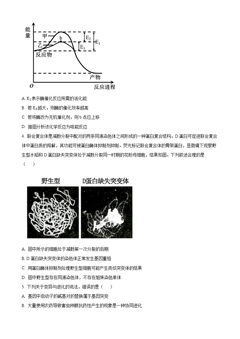 2024届江苏省扬州市仪征市高三四校联考生物试卷（原卷版）第2页