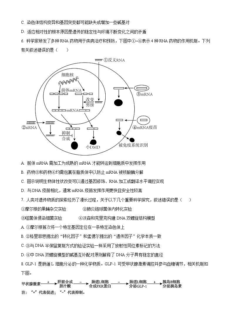 2024届江苏省扬州市仪征市高三四校联考生物试卷（原卷版）第3页