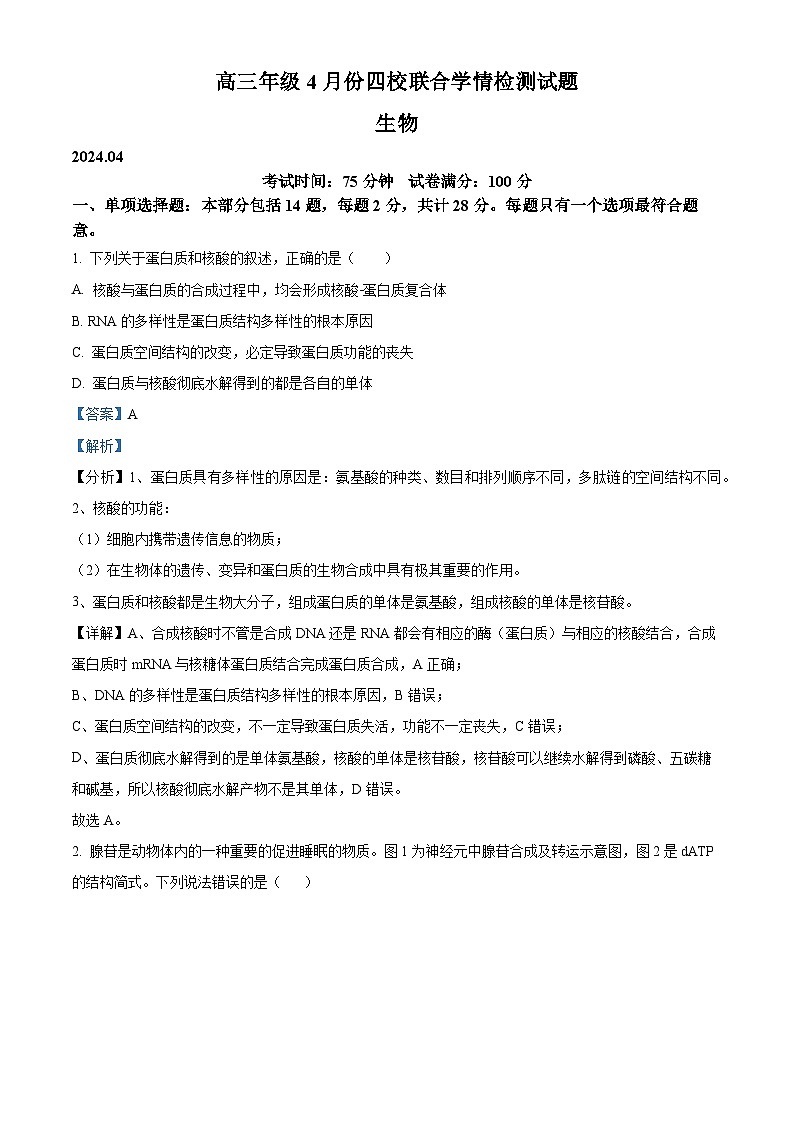 2024届江苏省扬州市仪征市高三四校联考生物试卷（解析版）第1页