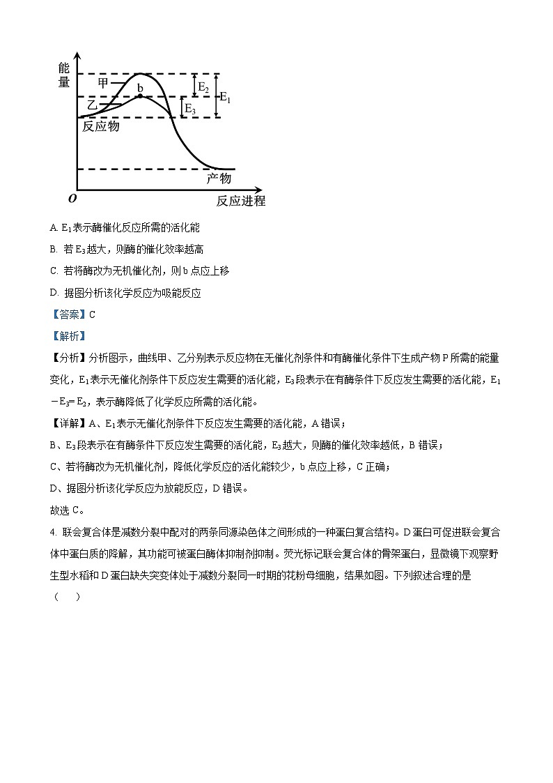 2024届江苏省扬州市仪征市高三四校联考生物试卷（解析版）第3页