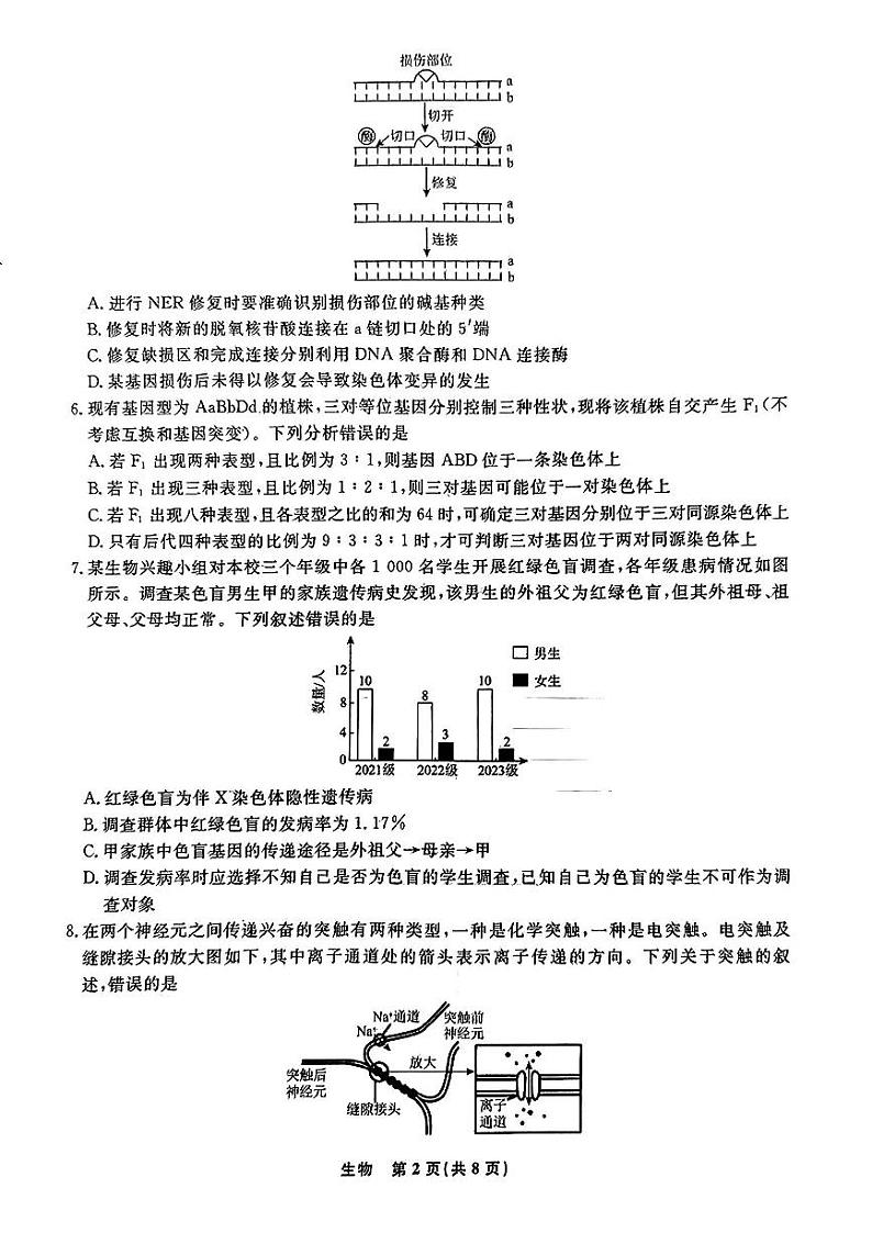 2024届山东省泰安高三三模生物试题第2页