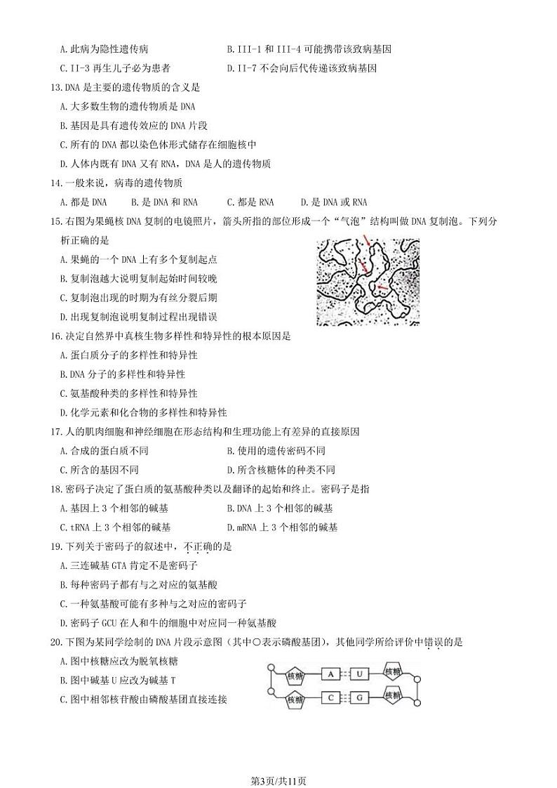 2024北京丰台高一下学期期中生物（B卷）试题及答案第3页