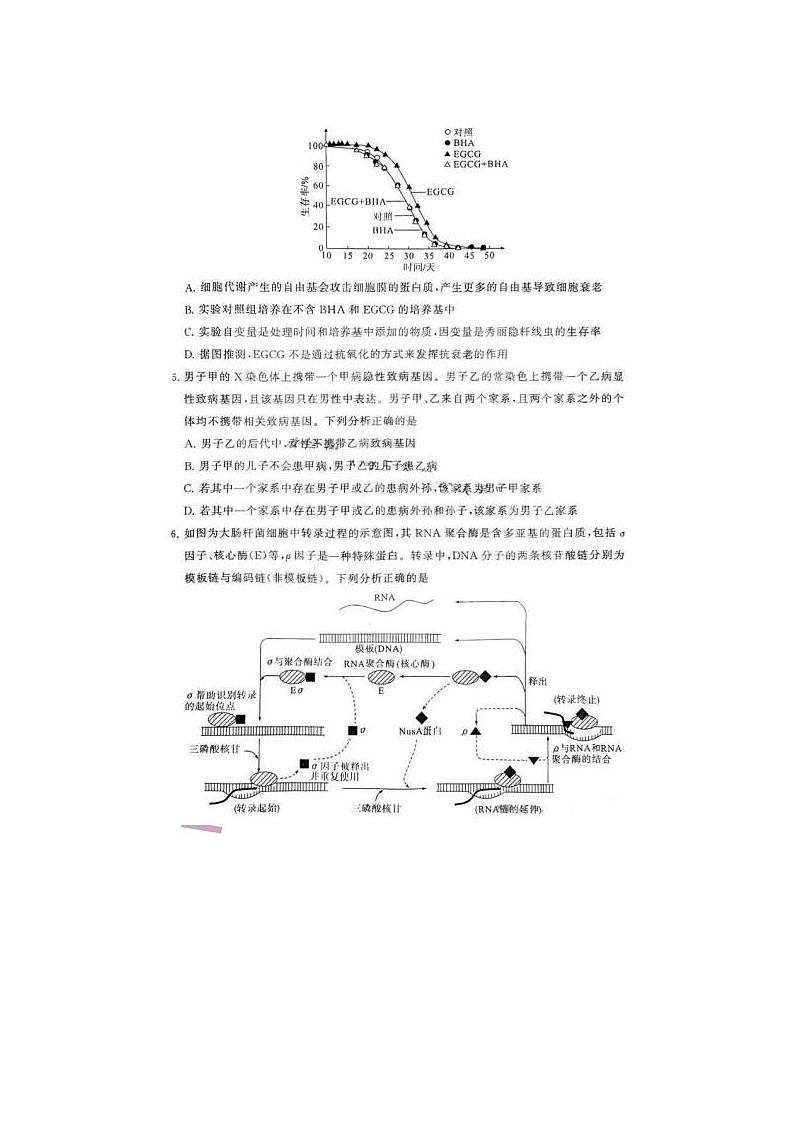 2024届浙江高三第二次学业质量评价生物试题03