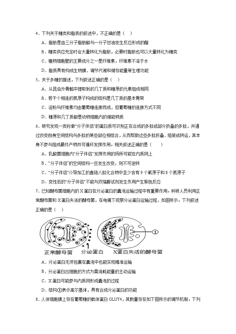 河北省保定市部分1+32023-2024学年高一下学期5月期中生物试题02