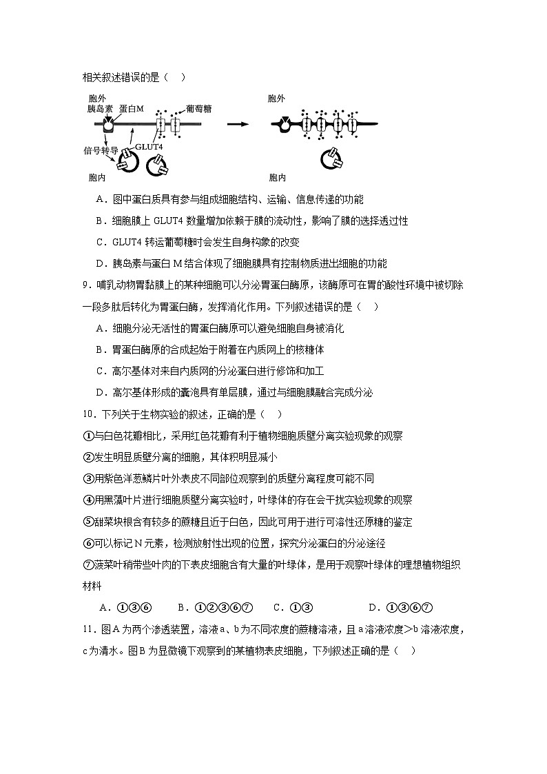 河北省保定市部分1+32023-2024学年高一下学期5月期中生物试题03