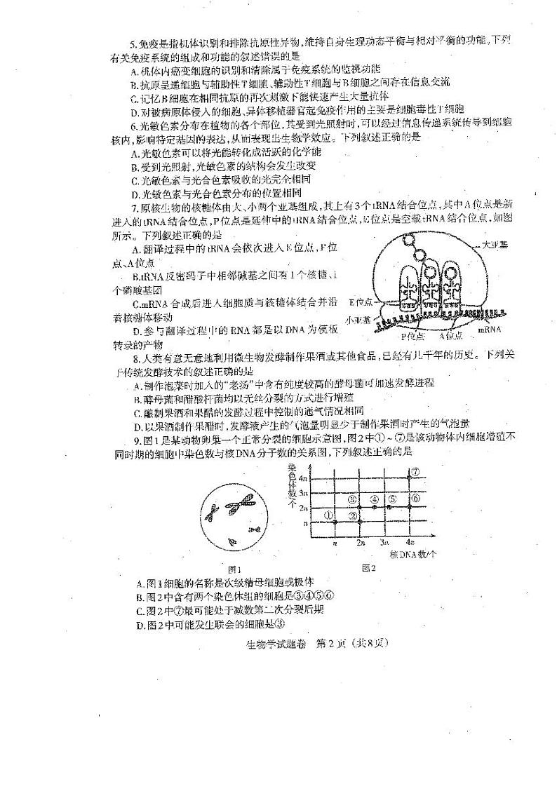 2024届辽宁省部分学校高三下学期扣题卷（二）生物试题第2页