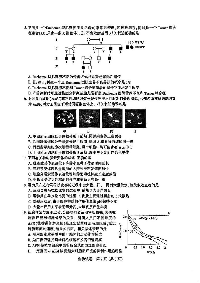 2024届苏北七市高三第三次调研（南通三模）生物试题02